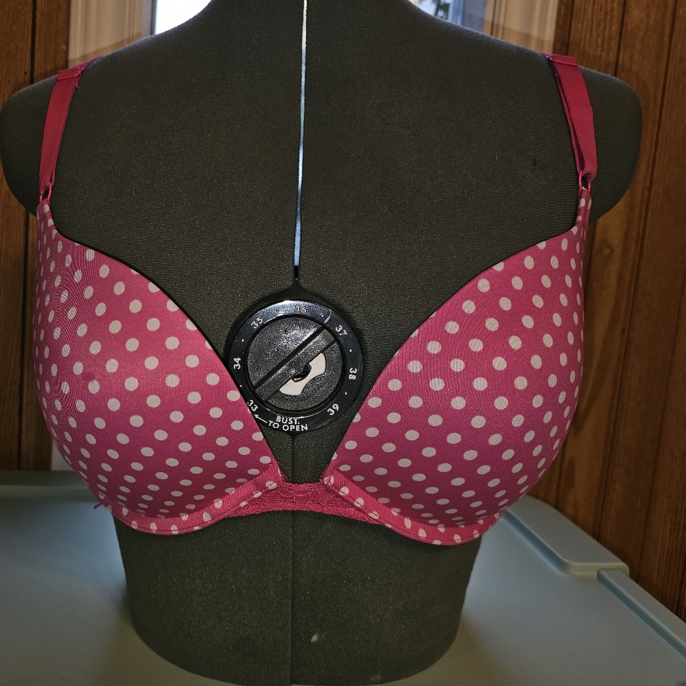 Maidenform 34D push up